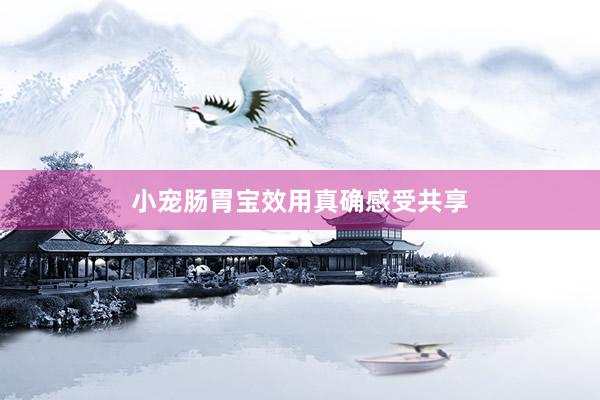 小宠肠胃宝效用真确感受共享