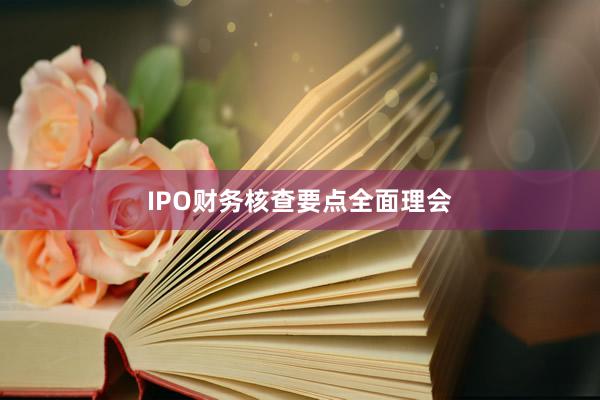 IPO财务核查要点全面理会