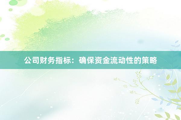 公司财务指标：确保资金流动性的策略